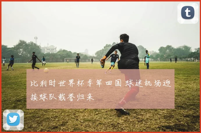 比利时世界杯季军回国 球迷机场迎接球队载誉归来