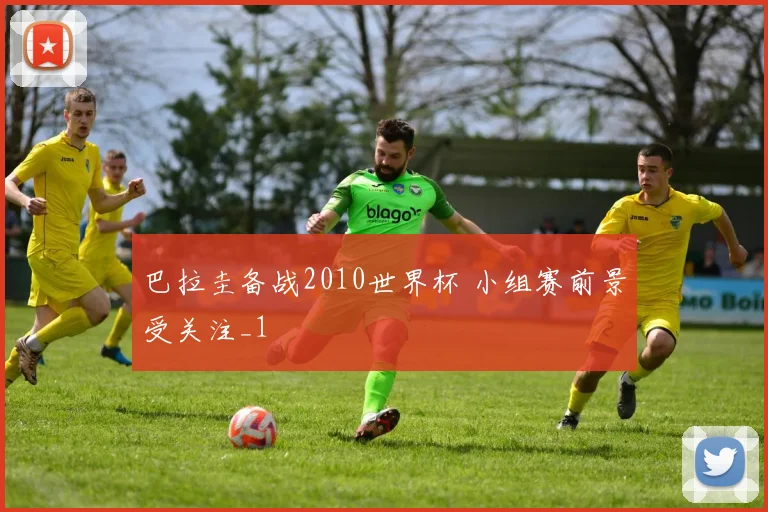 巴拉圭备战2010世界杯 小组赛前景受关注_1