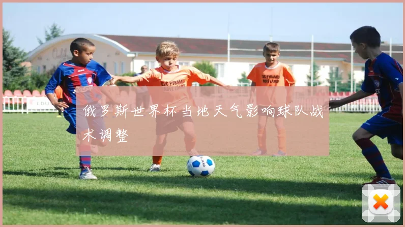 俄罗斯世界杯当地天气影响球队战术调整