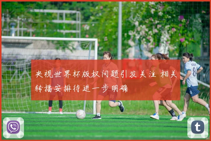 央视世界杯版权问题引发关注 相关转播安排待进一步明确
