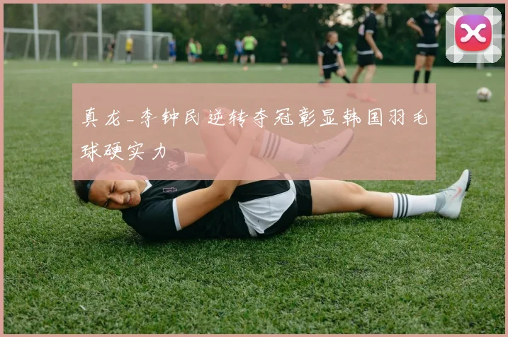 真龙_李钟民逆转夺冠彰显韩国羽毛球硬实力